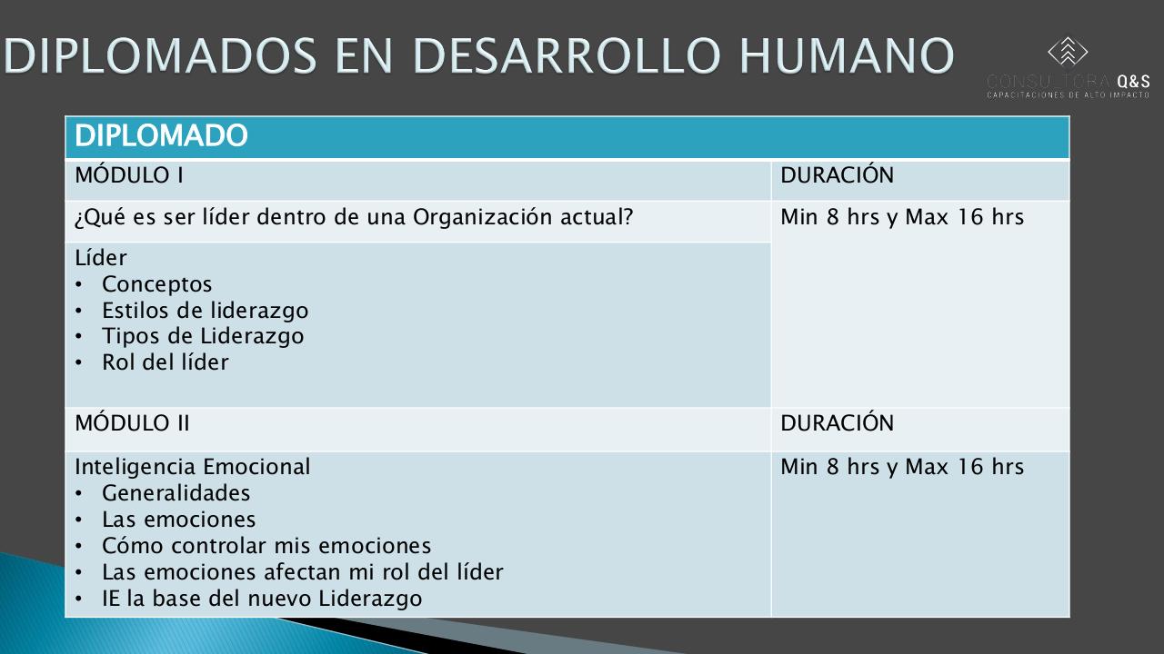 Vista previa del archivo PDF presentacion-de-servicios-qys.pdf