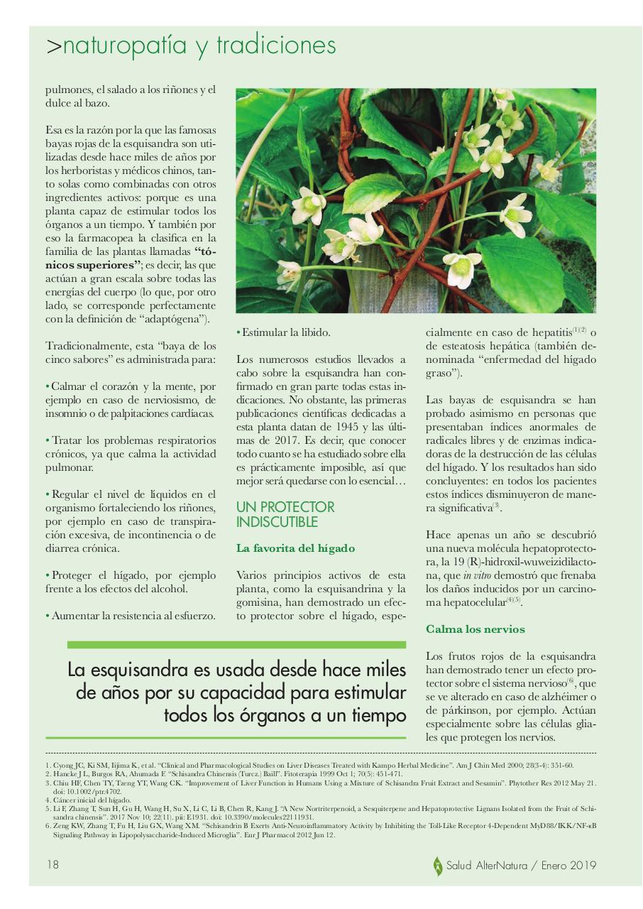 Vista previa del archivo PDF salud-alternatura-n3801e.pdf