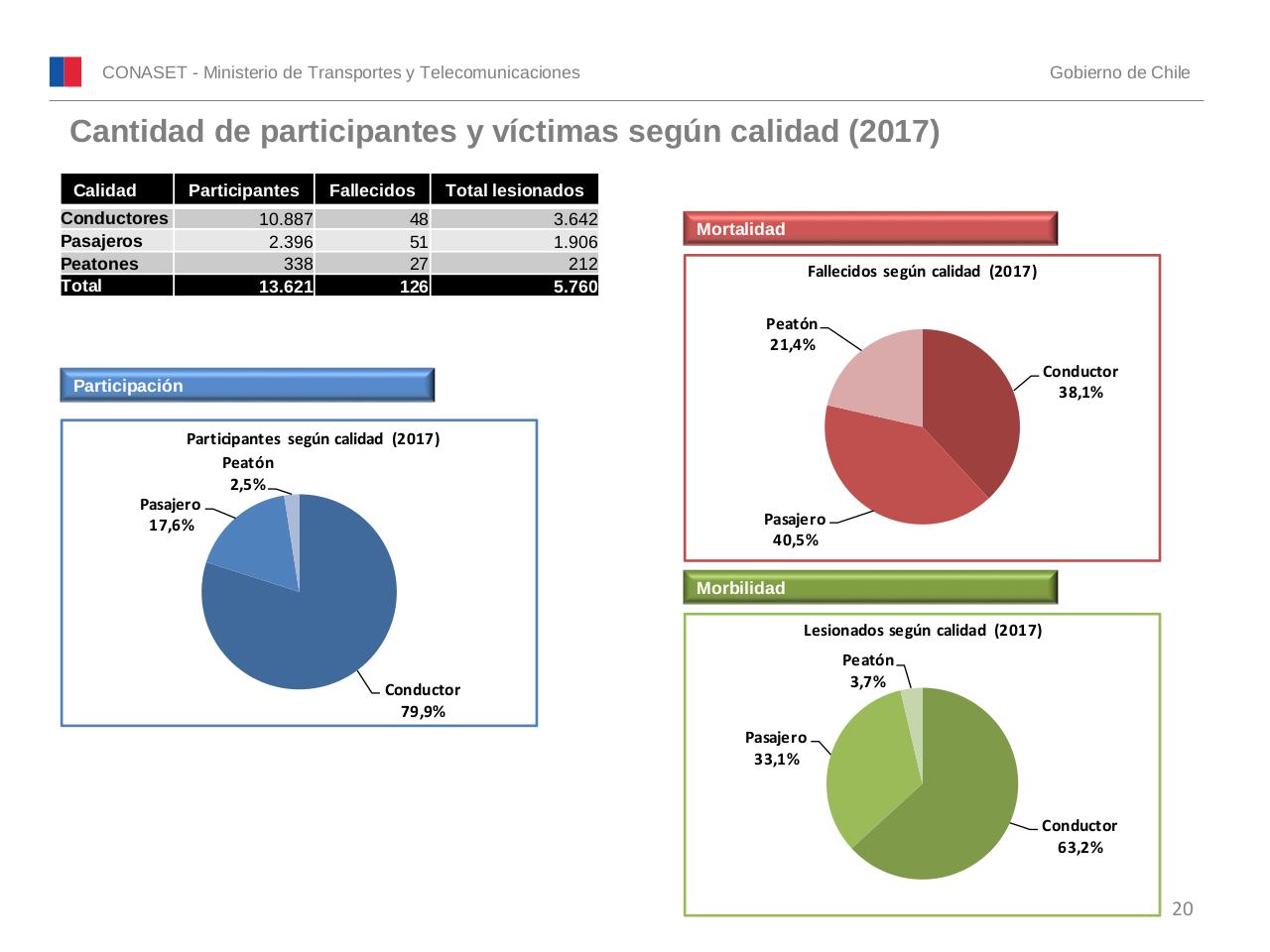 Vista previa del archivo PDF conaset-alcohol-2017.pdf