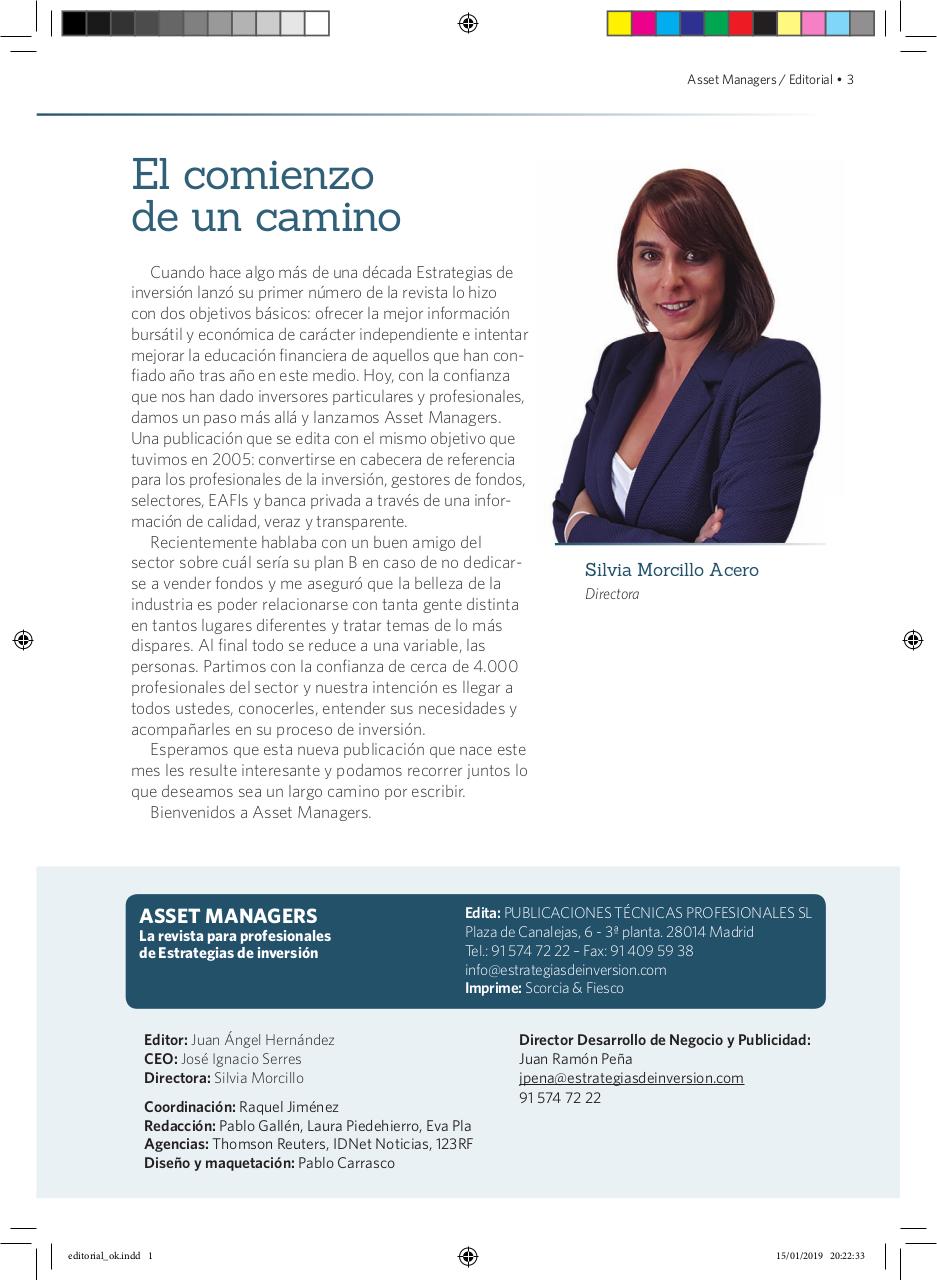 Vista previa del archivo PDF assetmanagers1.pdf