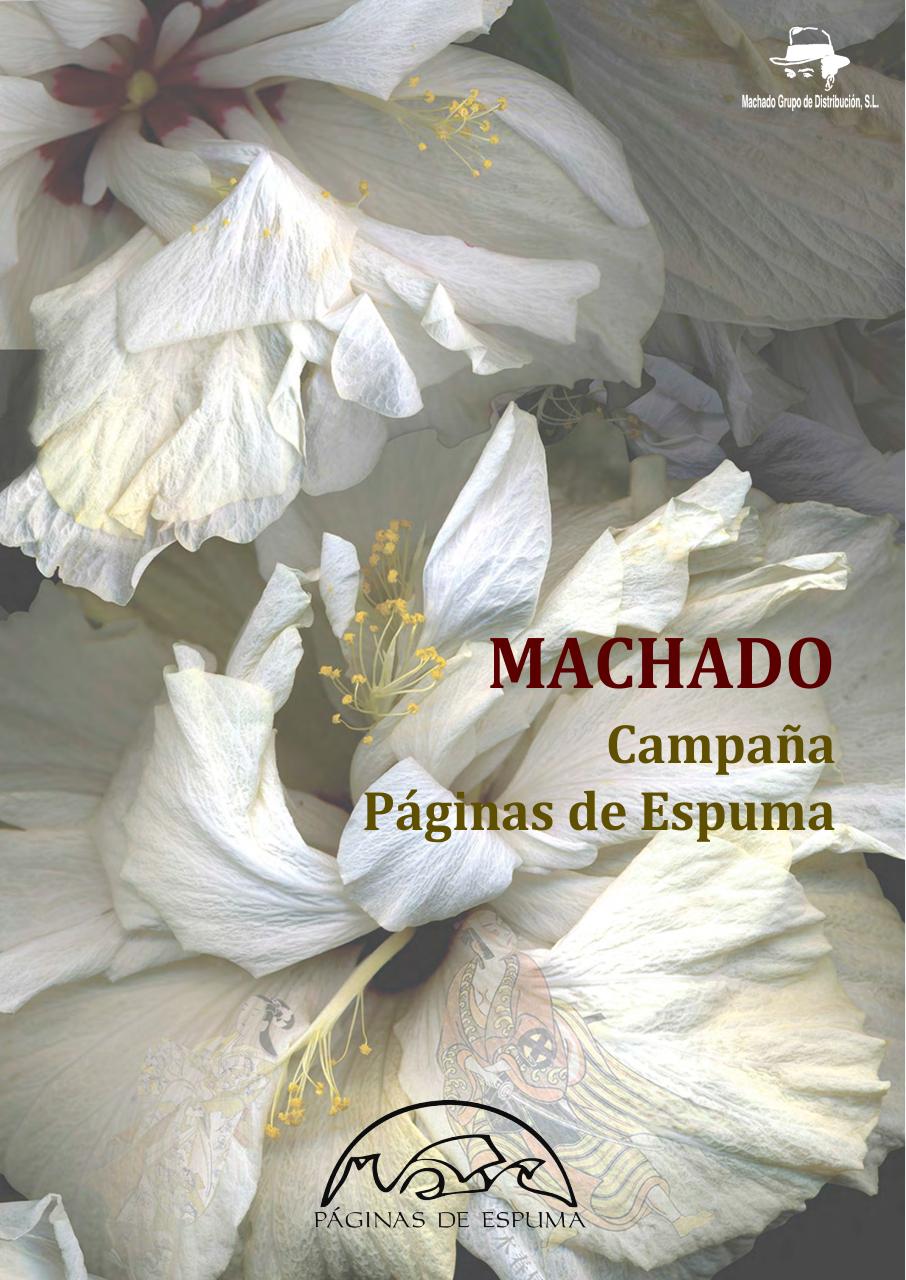 Vista previa del archivo PDF machado-boletin-novedades-13-02-19-zc.pdf