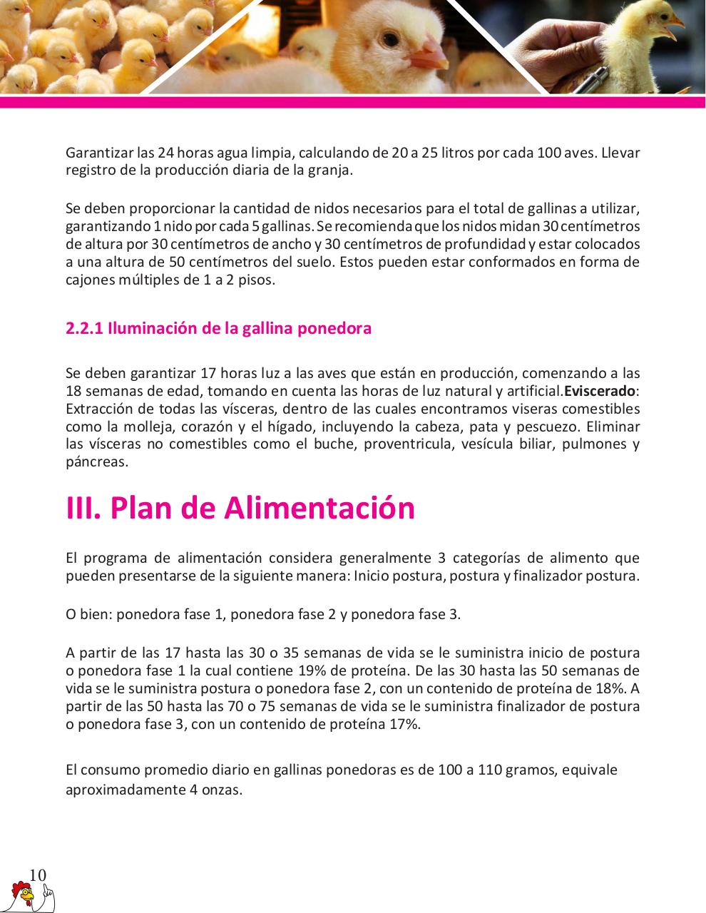 Vista previa del archivo PDF cartilla-gallinas-de-ponedoras-revisado-2019.pdf