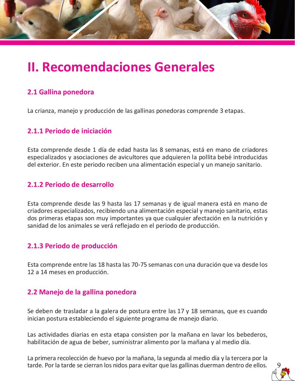 Vista previa del archivo PDF cartilla-gallinas-de-ponedoras-revisado-2019.pdf
