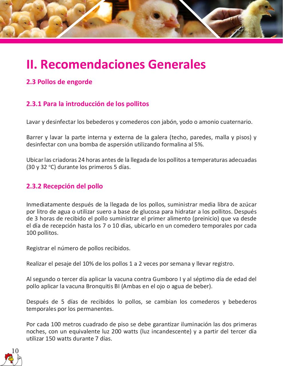 Vista previa del archivo PDF cartilla-pollos-de-engorde-revisado.pdf