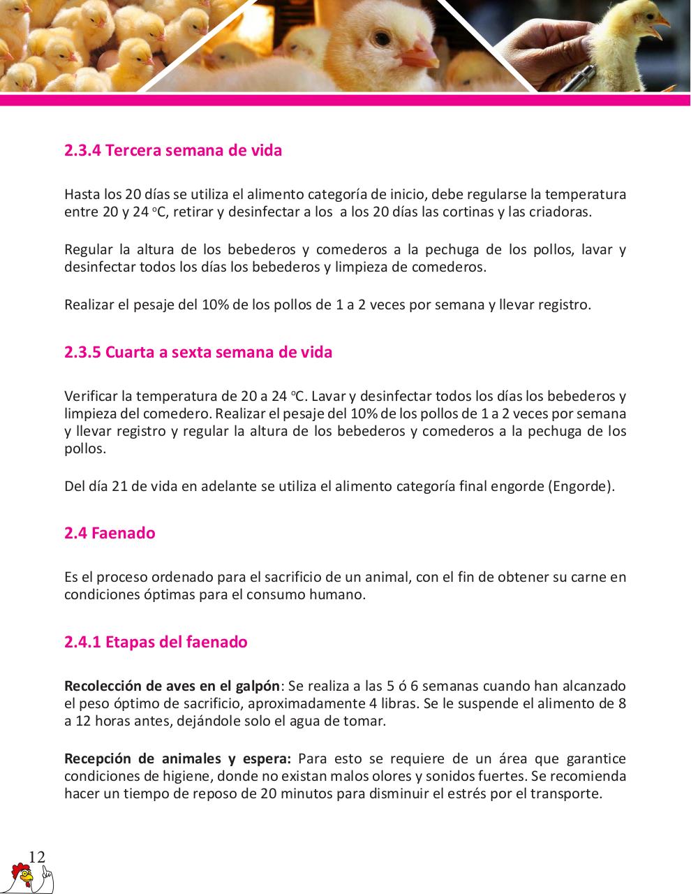 Vista previa del archivo PDF cartilla-pollos-de-engorde-revisado.pdf