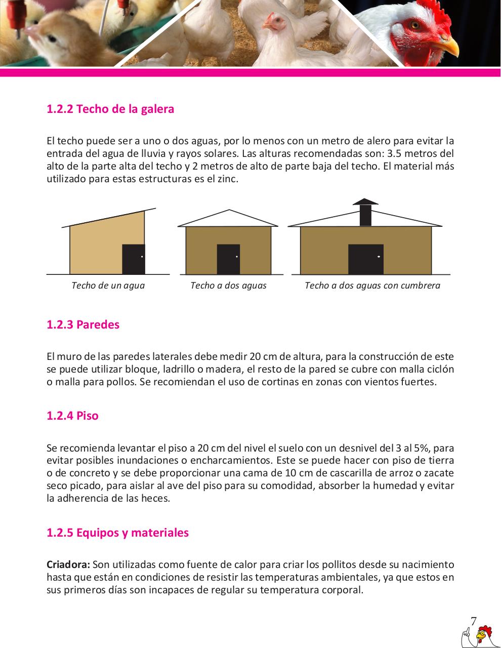 Vista previa del archivo PDF cartilla-pollos-de-engorde-revisado.pdf