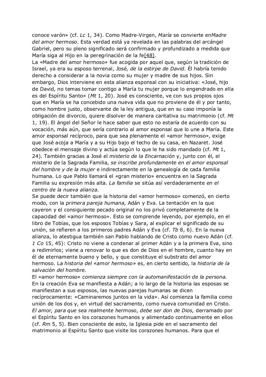 Vista previa del archivo PDF carta-a-las-familias-ao-internacional-de-la-familia--1994.pdf