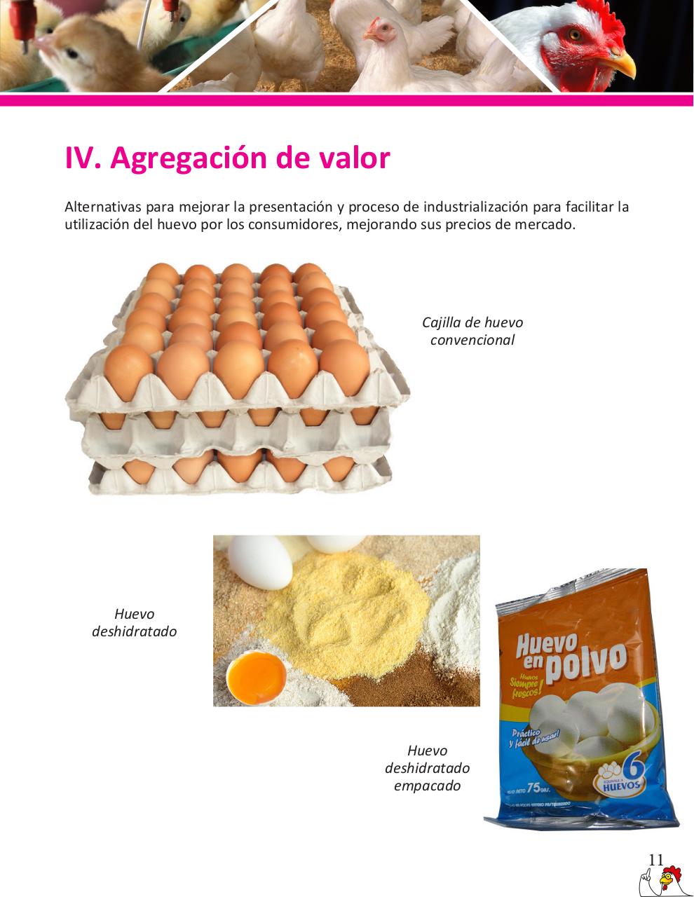 Vista previa del archivo PDF cartilla-gallinas-de-ponedoras-revisado-2019.pdf