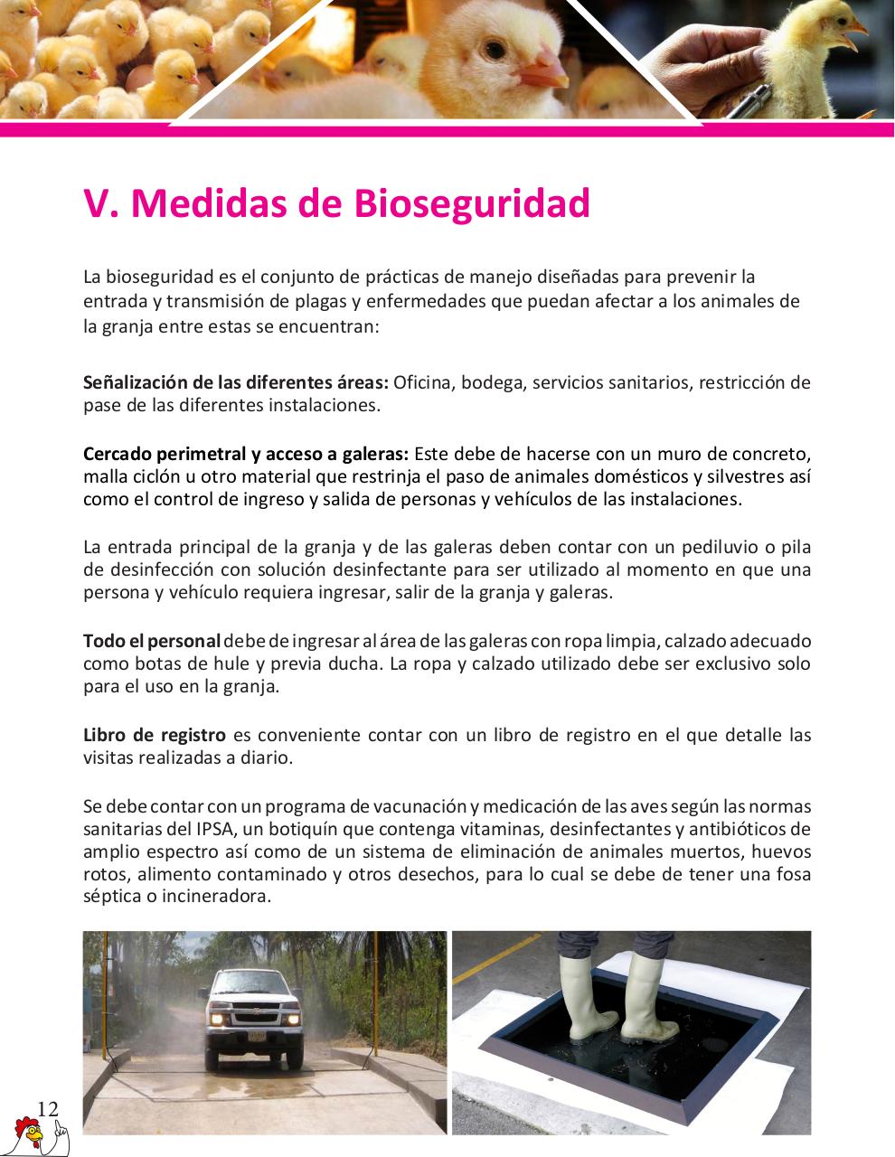 Vista previa del archivo PDF cartilla-gallinas-de-ponedoras-revisado-2019.pdf