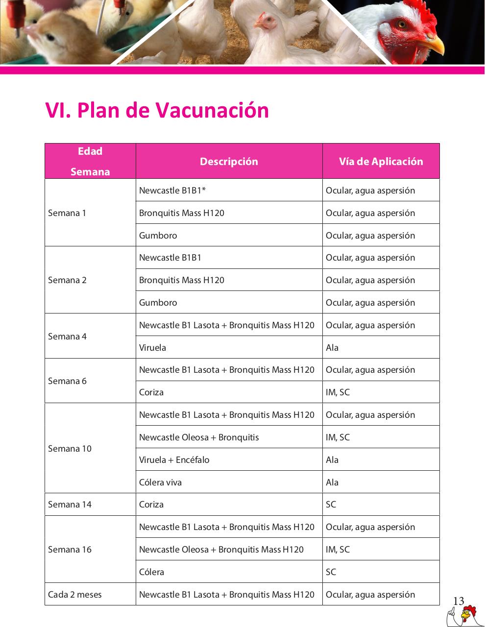 Vista previa del archivo PDF cartilla-gallinas-de-ponedoras-revisado-2019.pdf