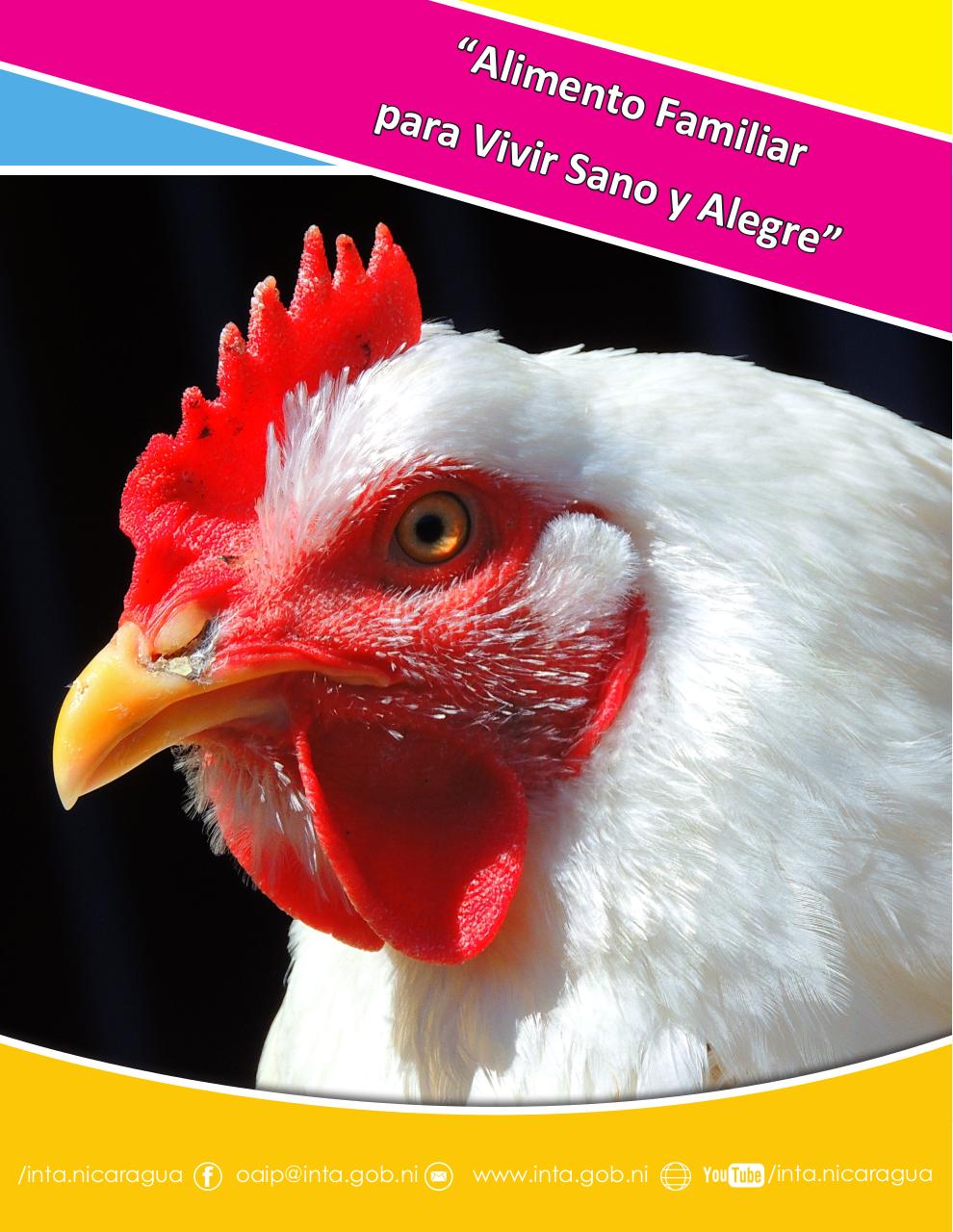 Vista previa del archivo PDF cartilla-gallinas-de-ponedoras-revisado-2019.pdf