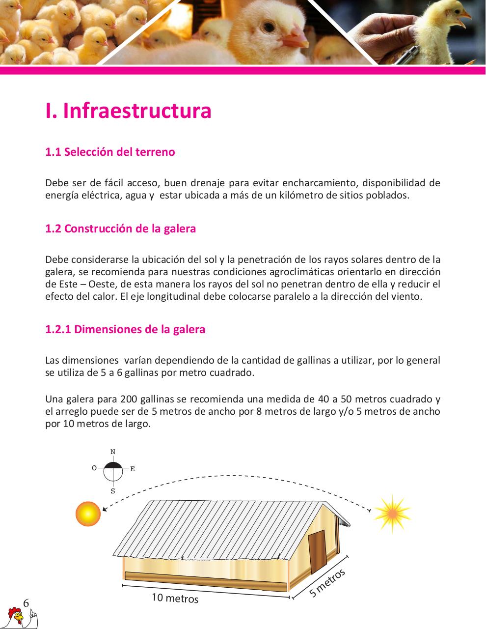 Vista previa del archivo PDF cartilla-gallinas-de-ponedoras-revisado-2019.pdf