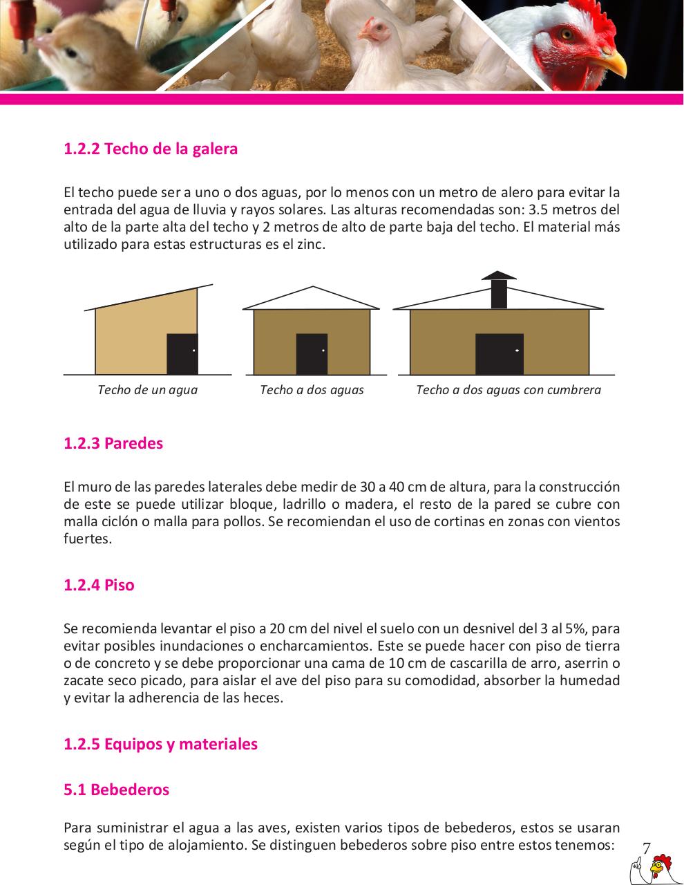 Vista previa del archivo PDF cartilla-gallinas-de-ponedoras-revisado-2019.pdf