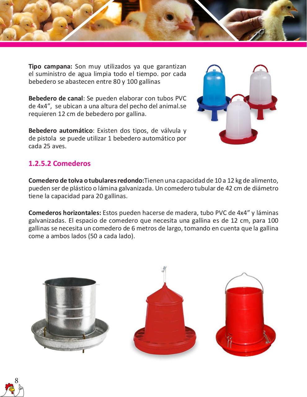 Vista previa del archivo PDF cartilla-gallinas-de-ponedoras-revisado-2019.pdf