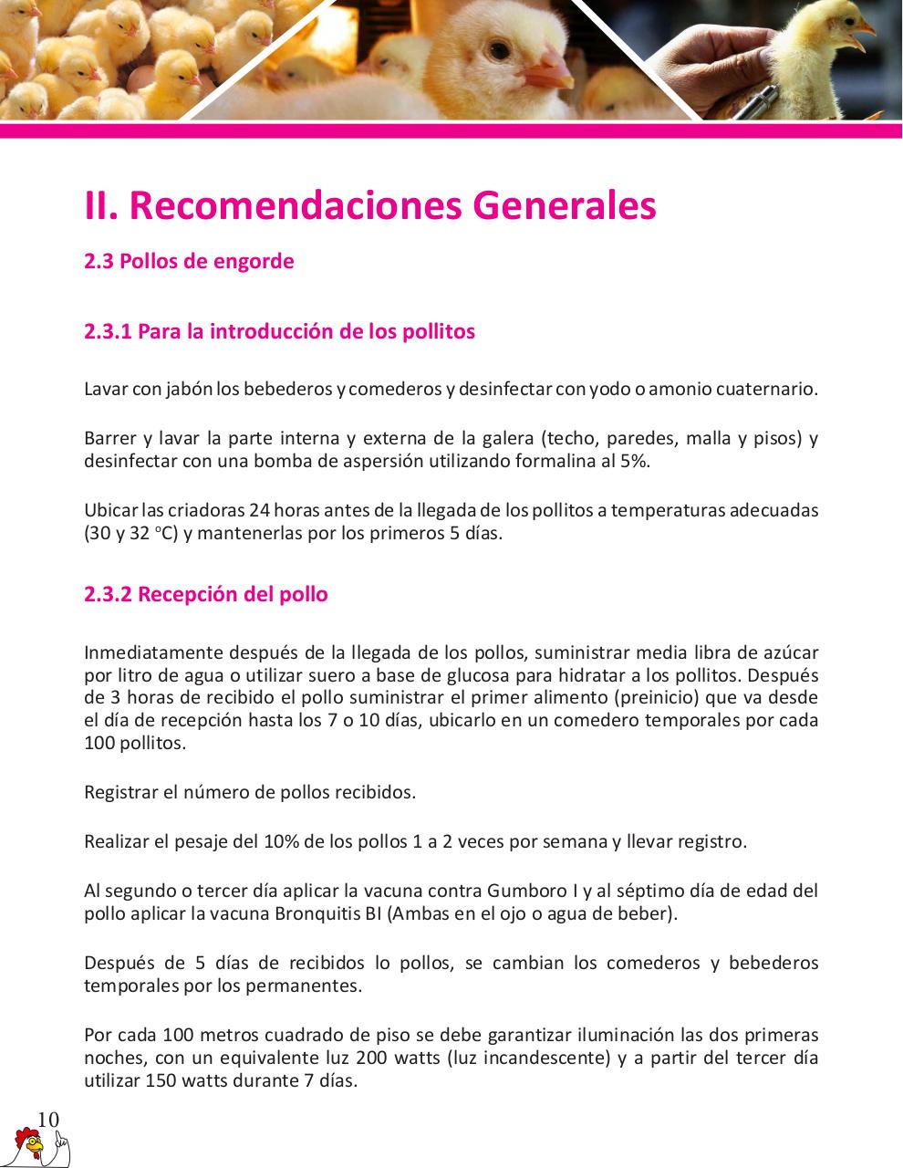 Vista previa del archivo PDF cartilla-pollos-de-engorde-revisado.pdf