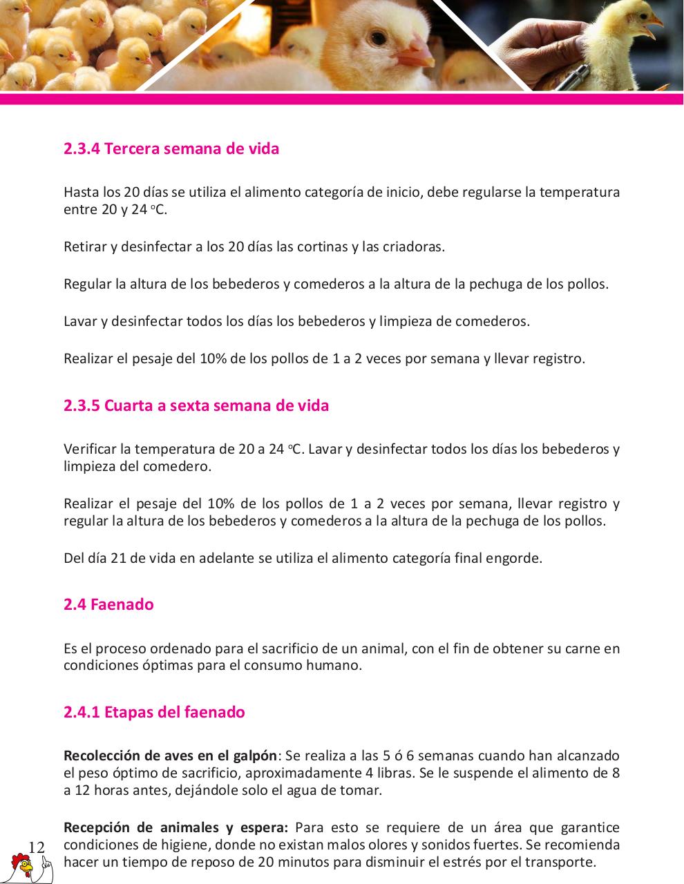 Vista previa del archivo PDF cartilla-pollos-de-engorde-revisado.pdf