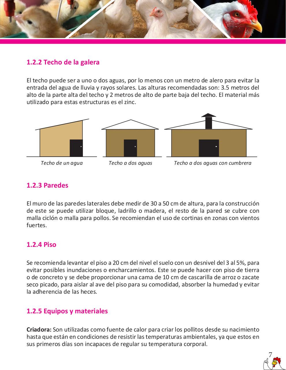 Vista previa del archivo PDF cartilla-pollos-de-engorde-revisado.pdf