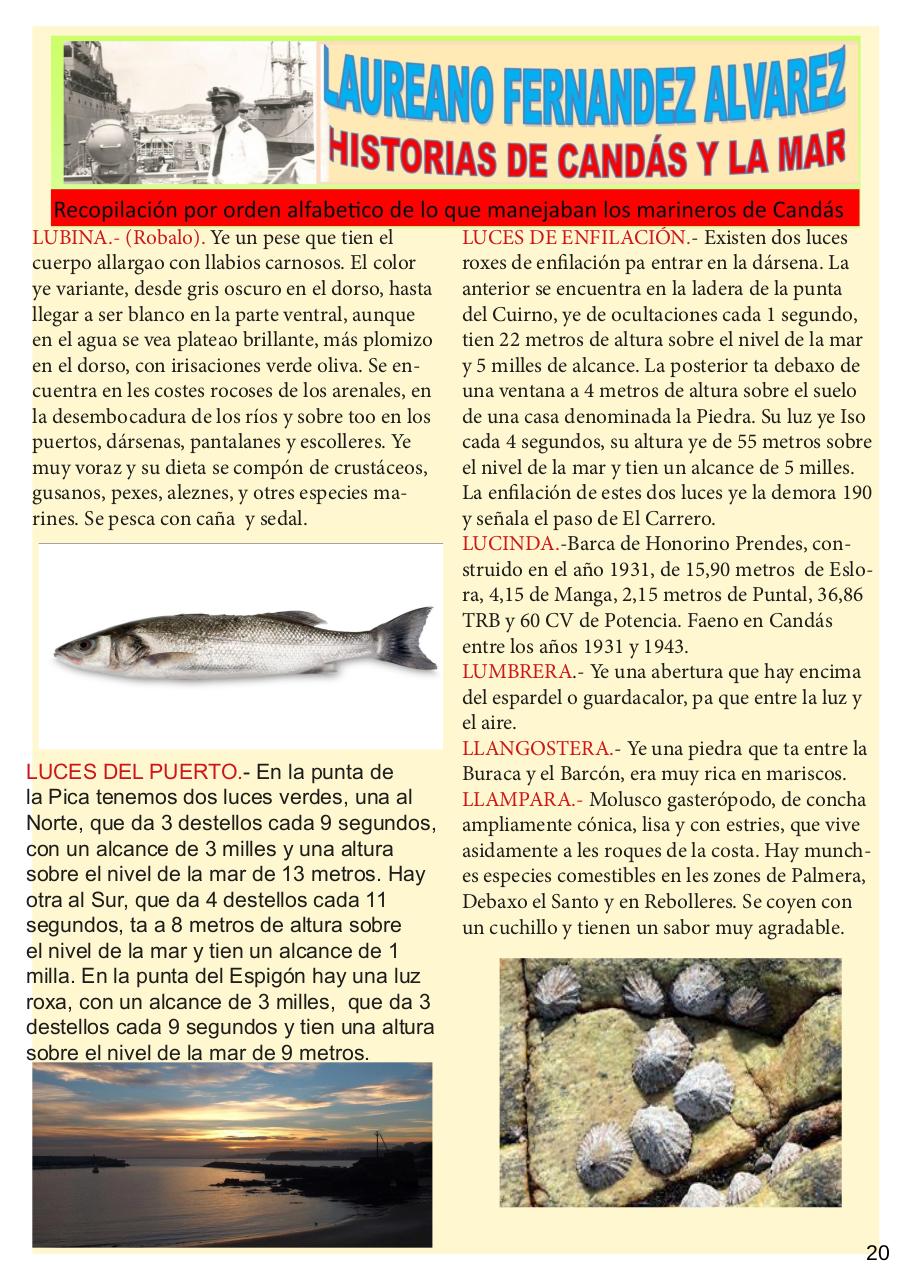 Vista previa del archivo PDF revista-cands-en-la-memoria--febrero.pdf
