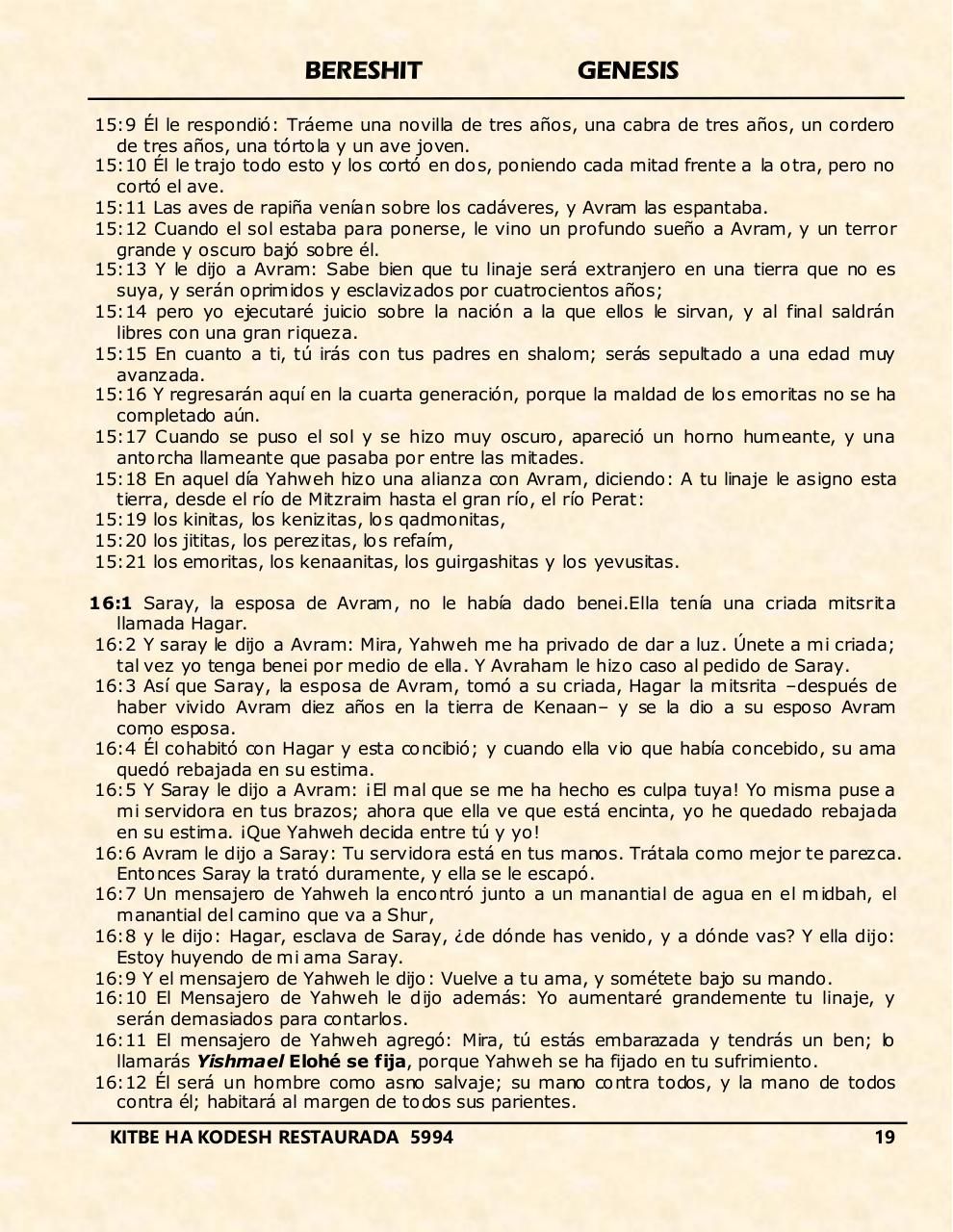 Vista previa del archivo PDF bereshit.pdf