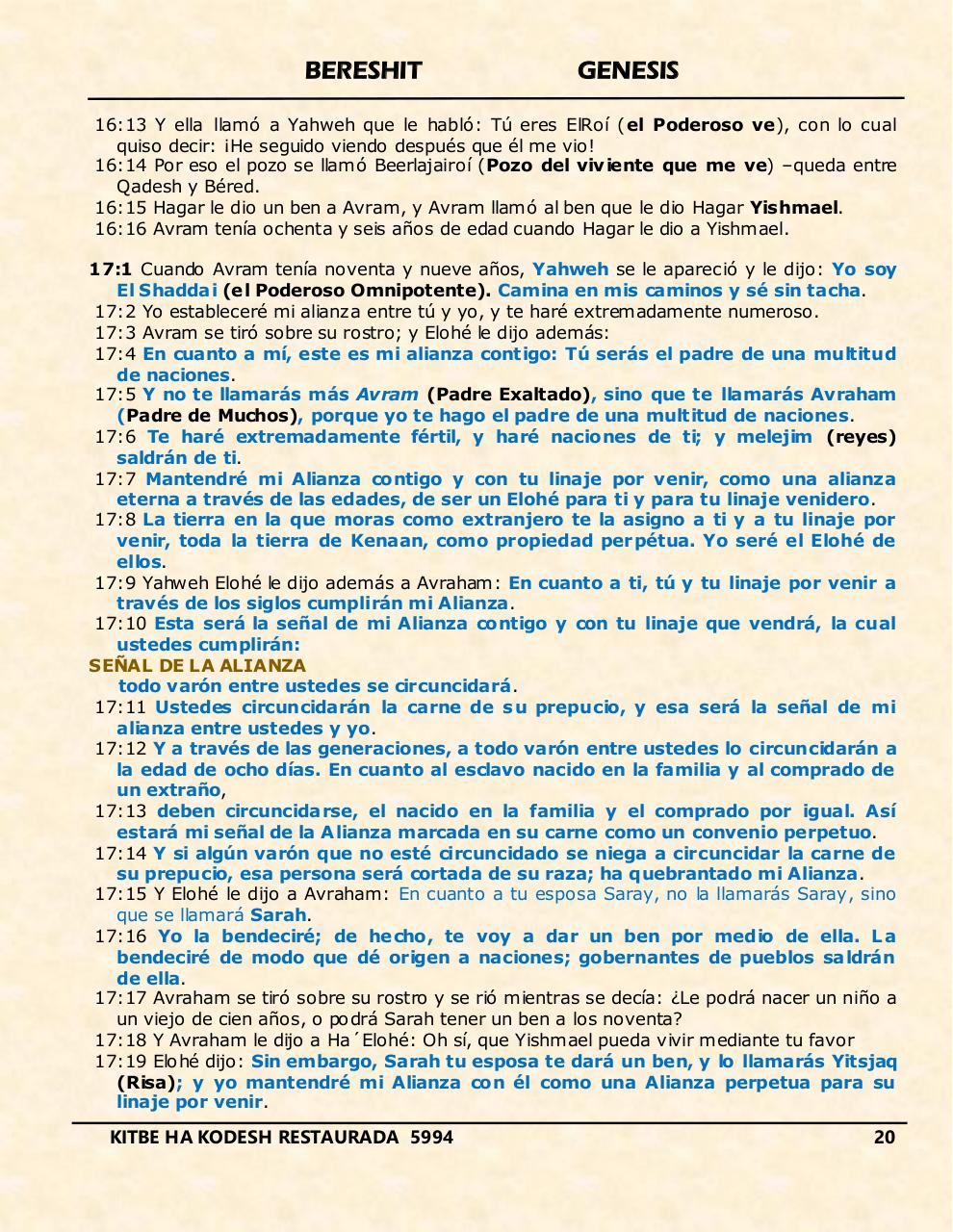 Vista previa del archivo PDF bereshit.pdf