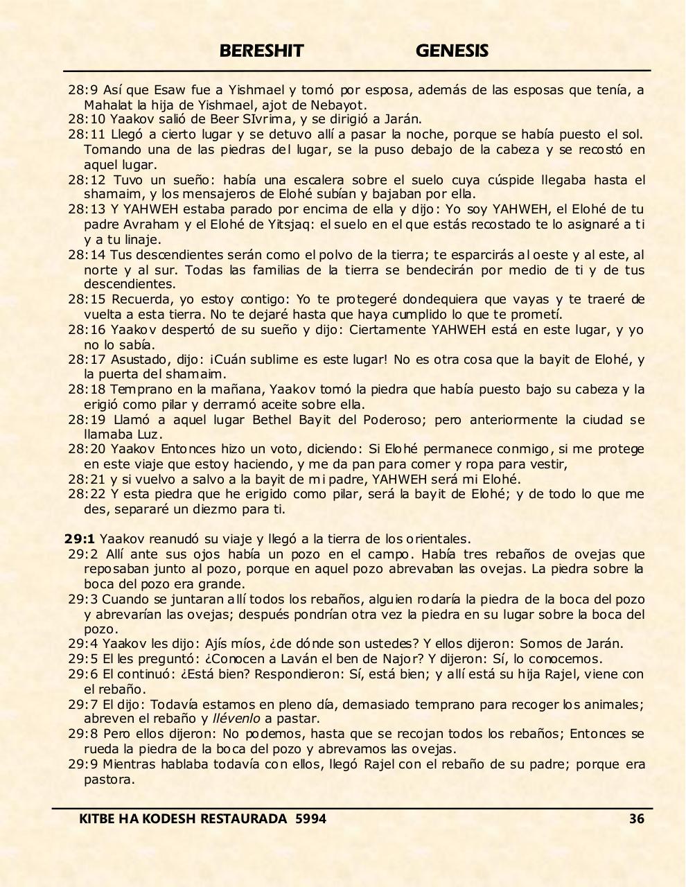 Vista previa del archivo PDF bereshit.pdf