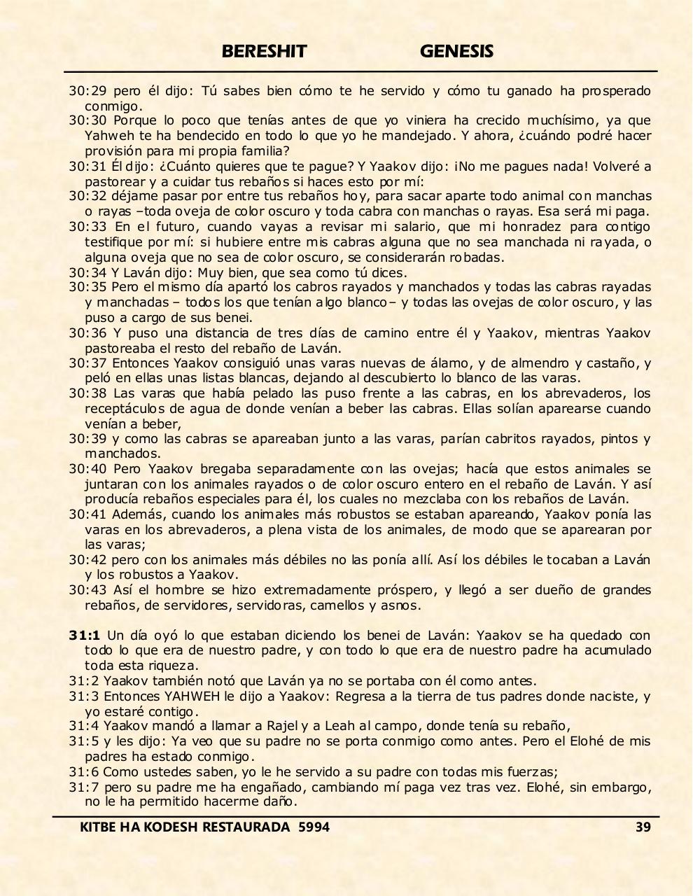 Vista previa del archivo PDF bereshit.pdf