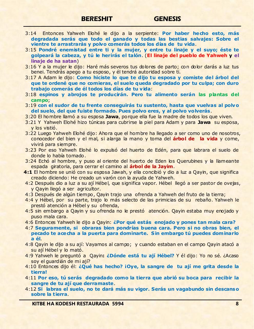 Vista previa del archivo PDF bereshit.pdf