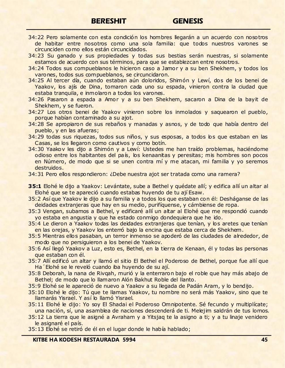Vista previa del archivo PDF bereshit.pdf