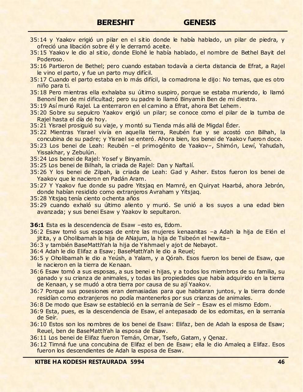 Vista previa del archivo PDF bereshit.pdf