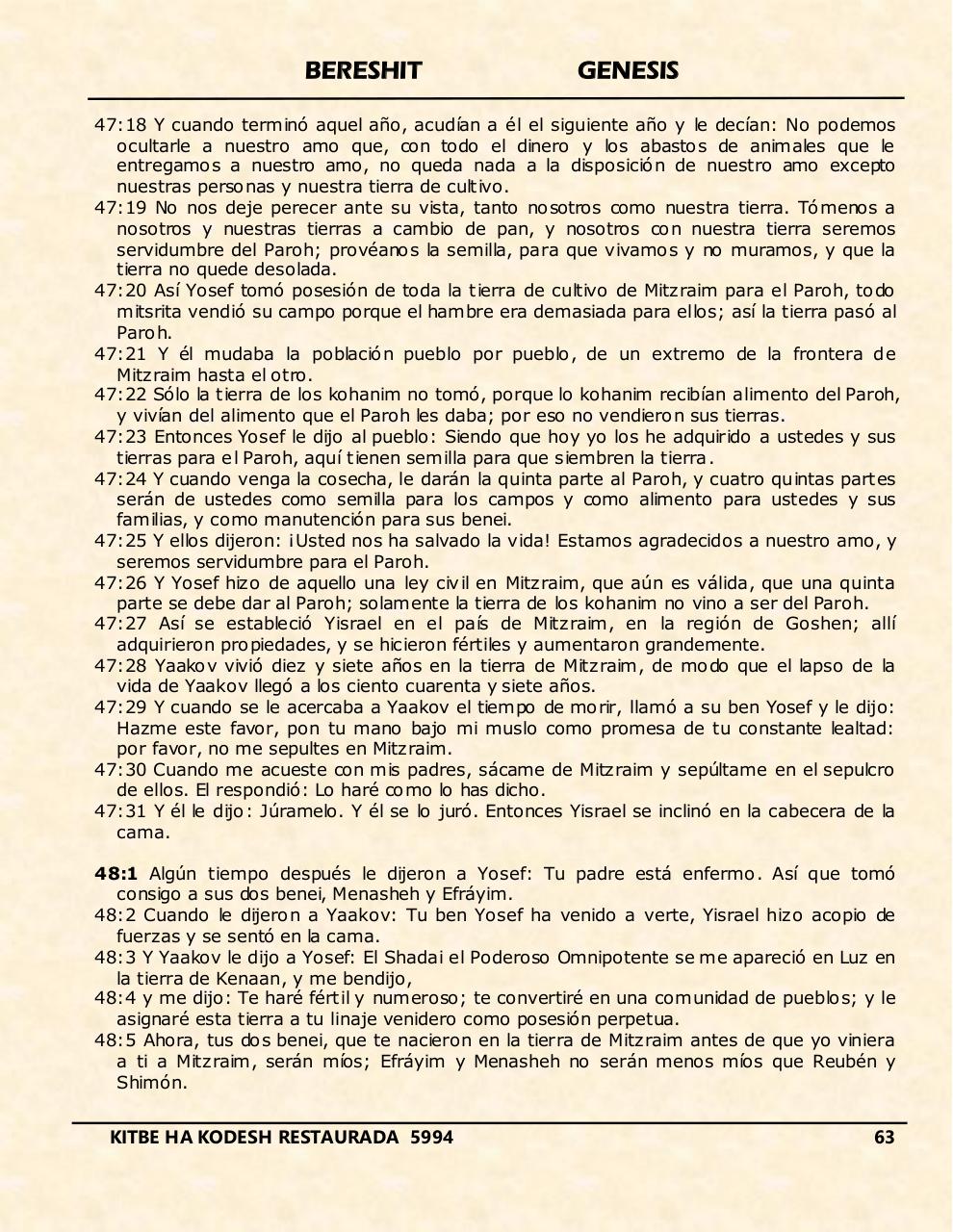 Vista previa del archivo PDF bereshit.pdf