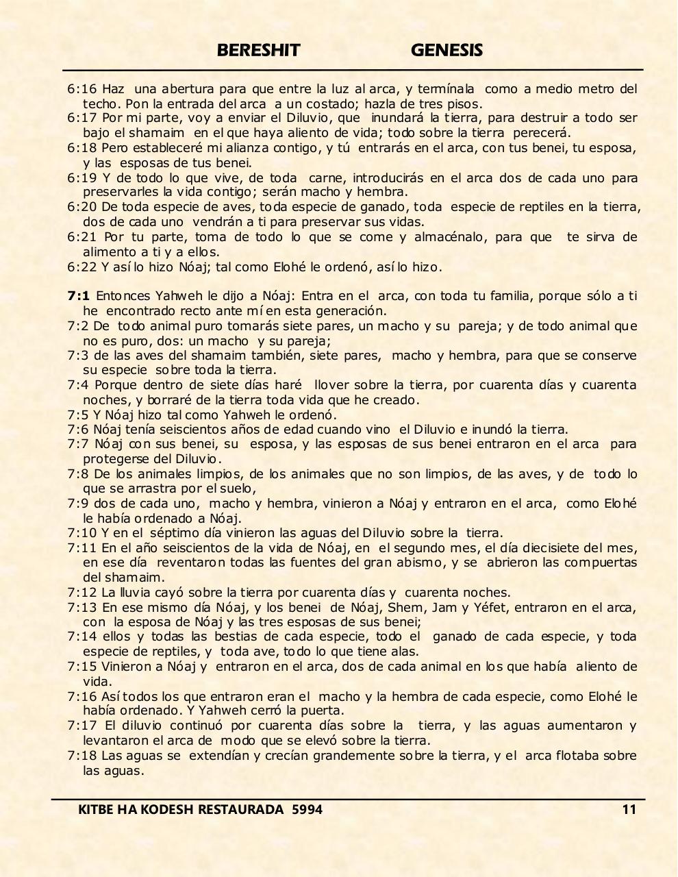 Vista previa del archivo PDF bereshit.pdf