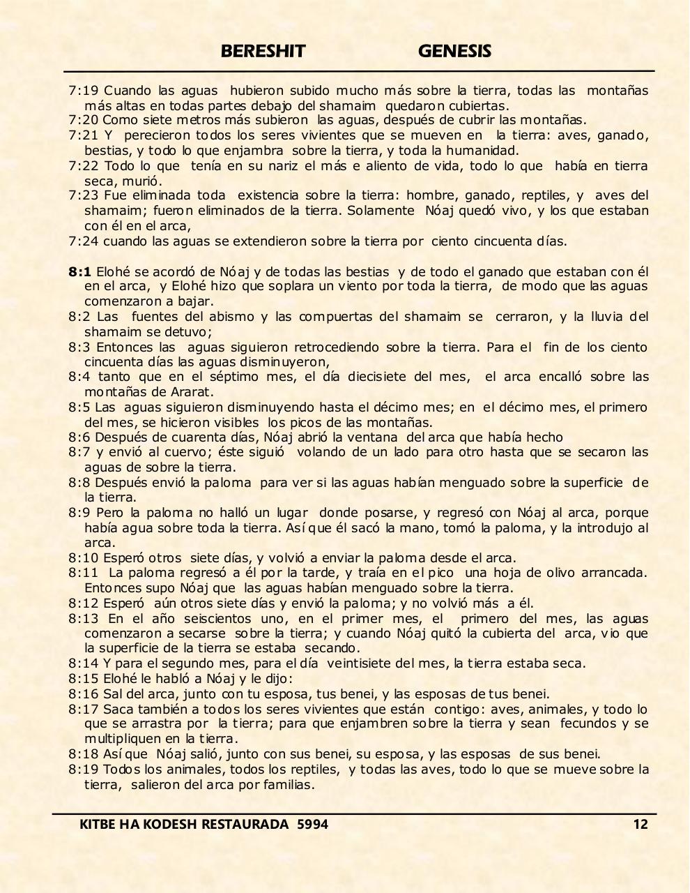 Vista previa del archivo PDF bereshit.pdf