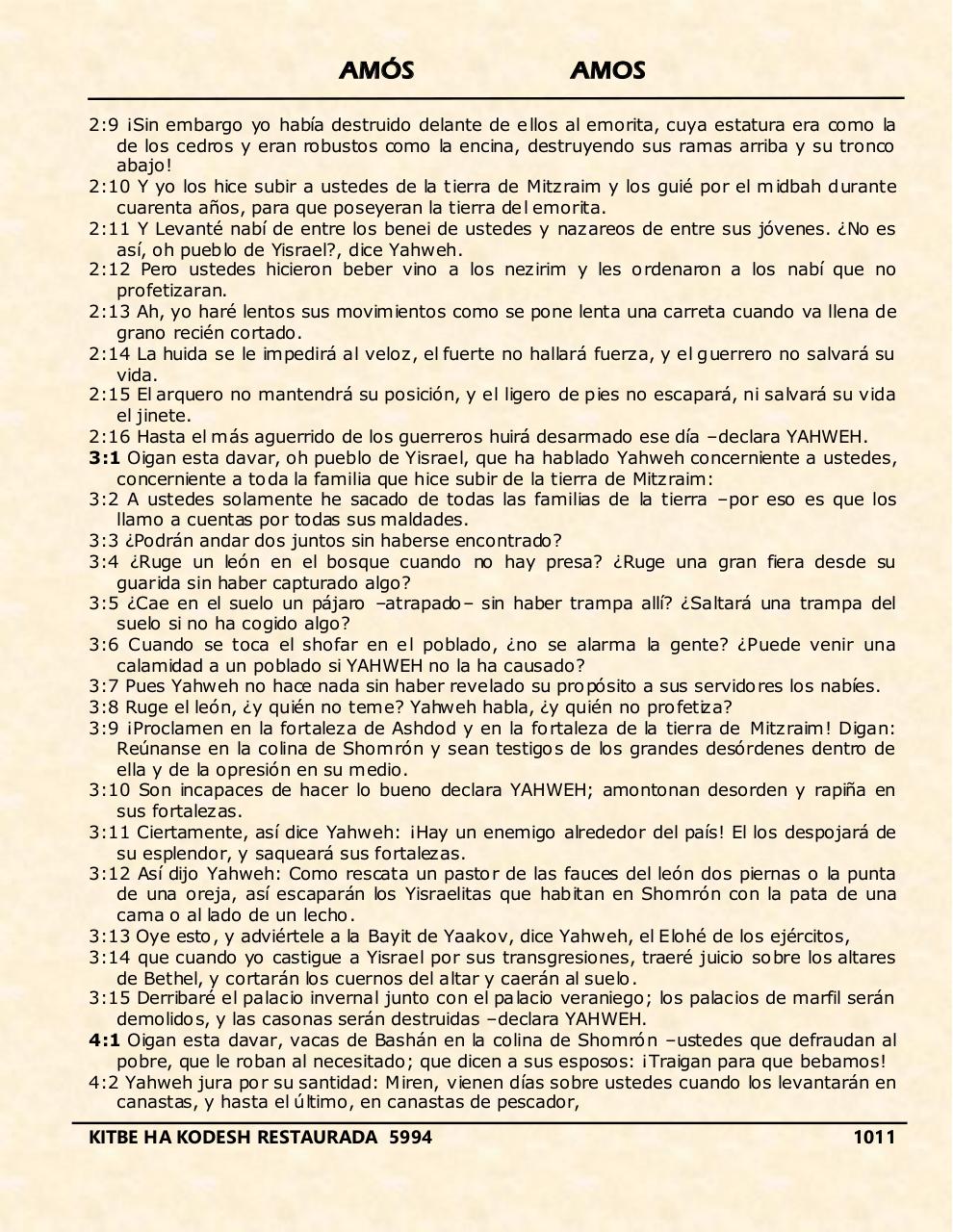 Vista previa del archivo PDF amos.pdf