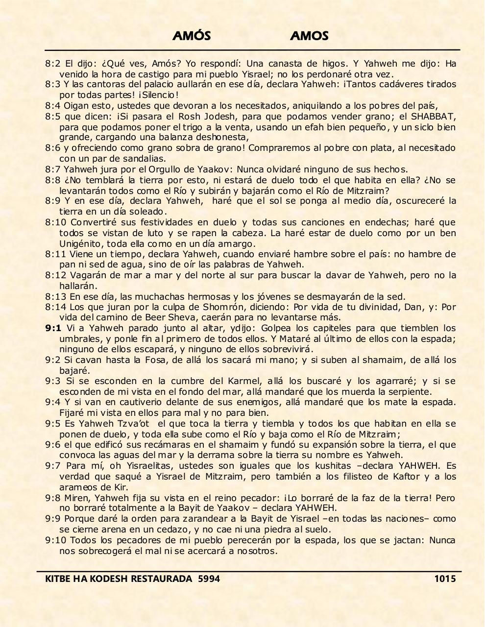 Vista previa del archivo PDF amos.pdf