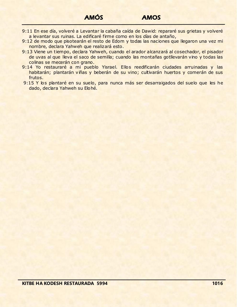 Vista previa del archivo PDF amos.pdf