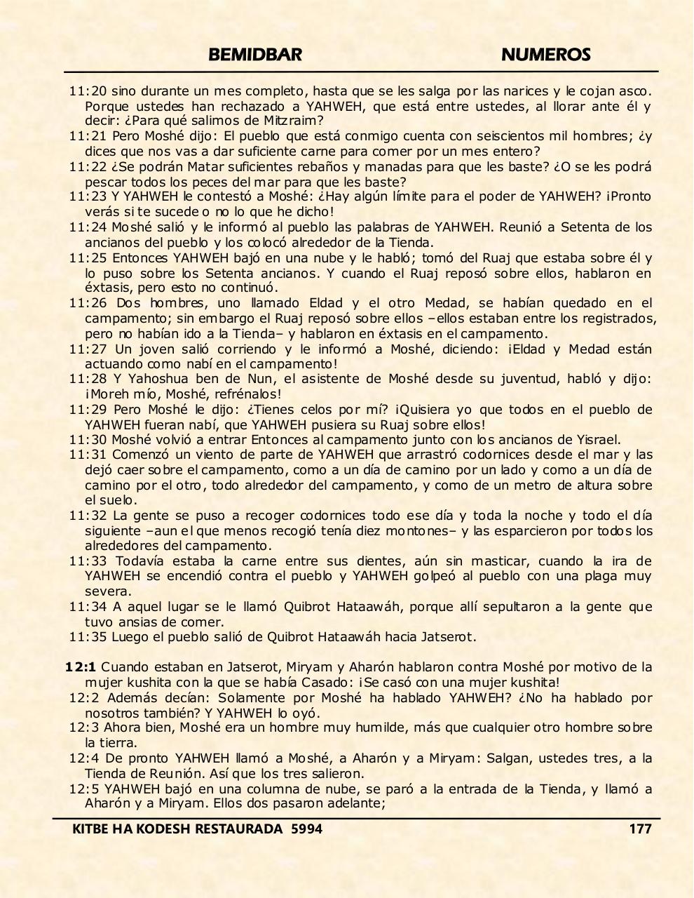 Vista previa del archivo PDF bemidbar.pdf