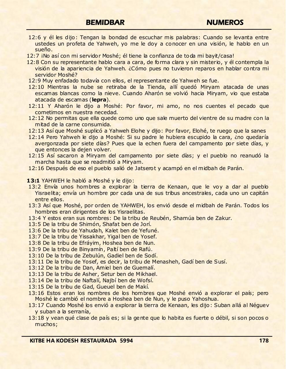 Vista previa del archivo PDF bemidbar.pdf
