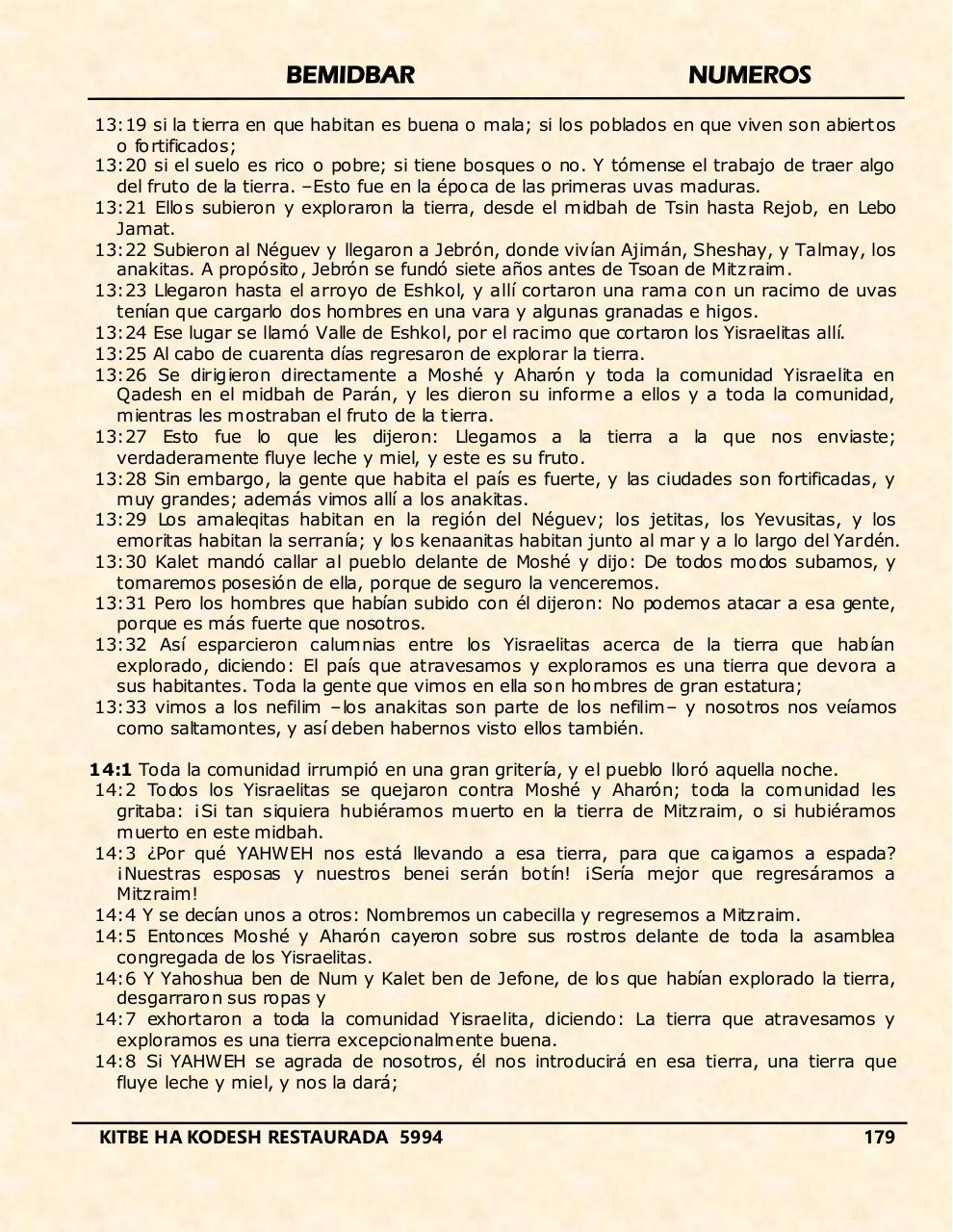 Vista previa del archivo PDF bemidbar.pdf