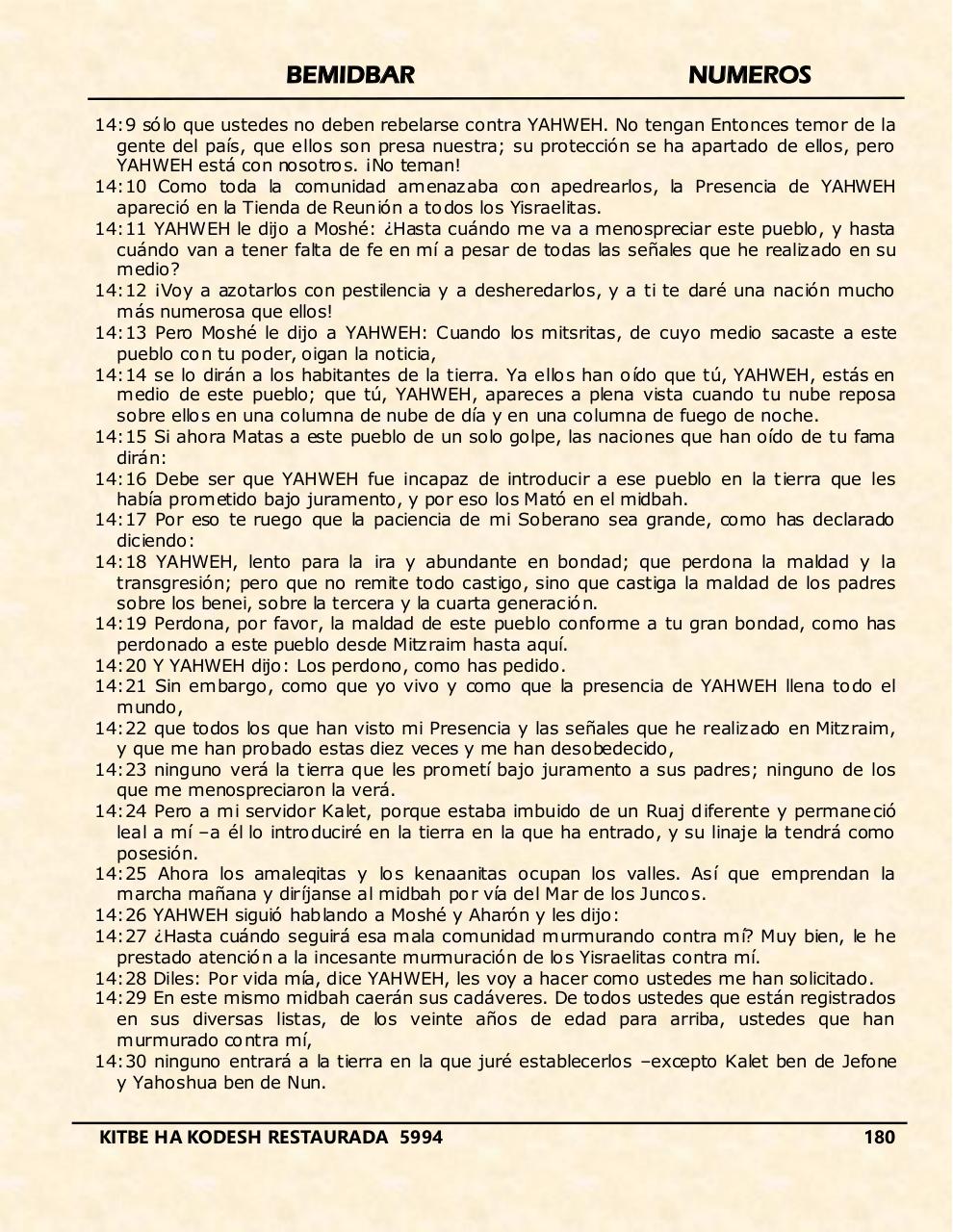 Vista previa del archivo PDF bemidbar.pdf