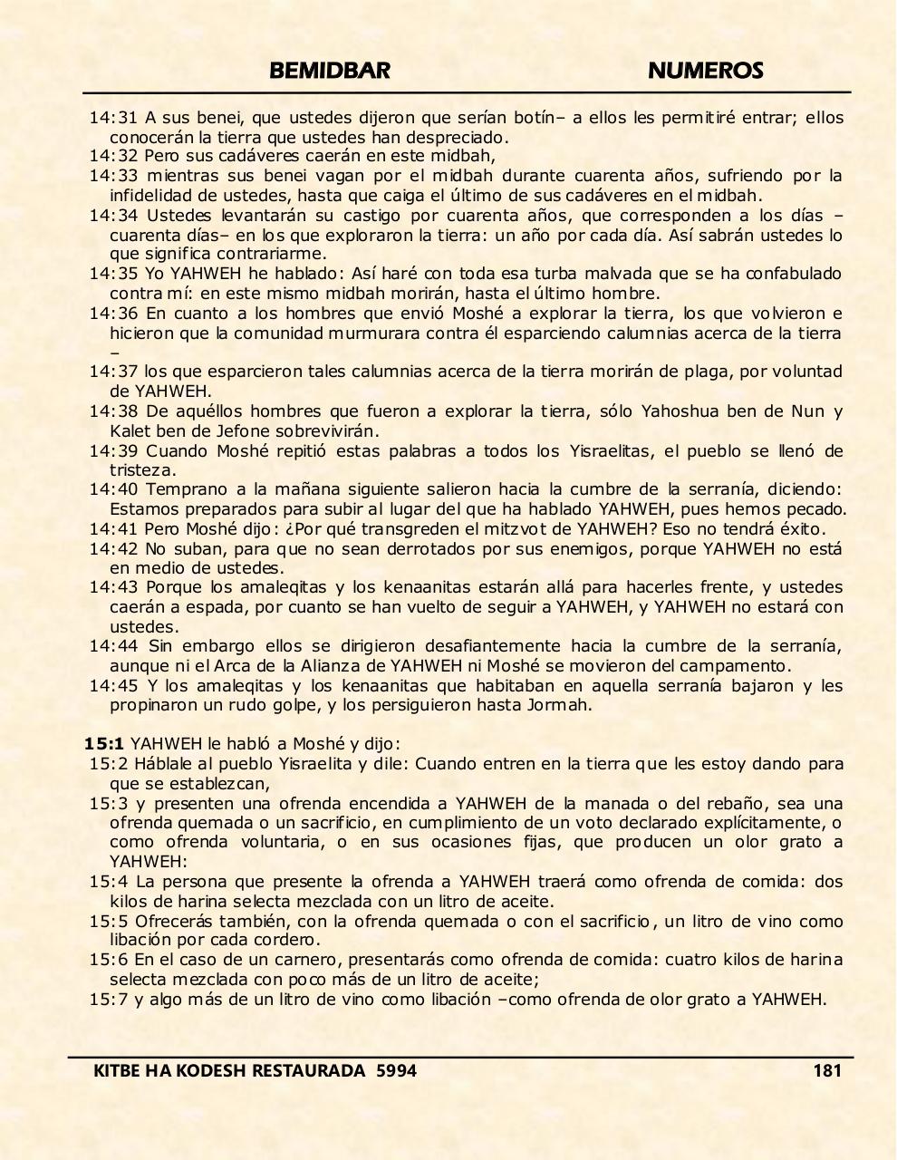 Vista previa del archivo PDF bemidbar.pdf