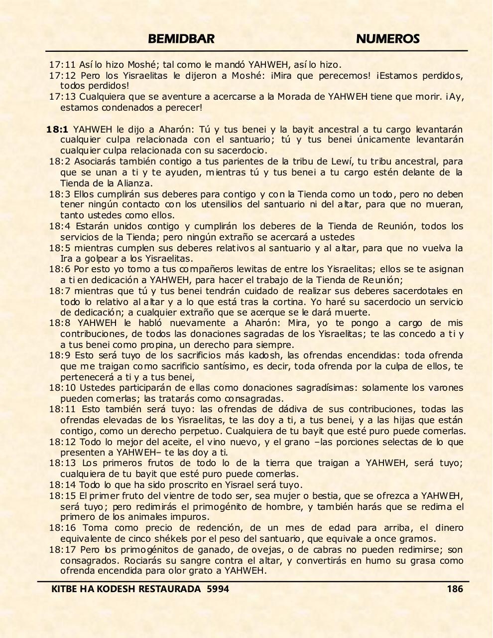 Vista previa del archivo PDF bemidbar.pdf