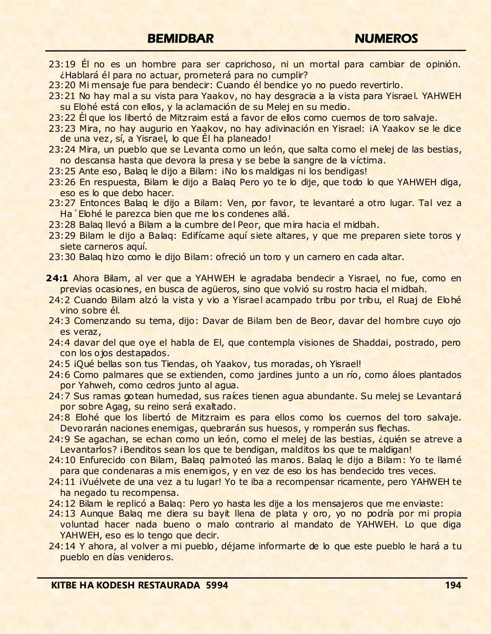 Vista previa del archivo PDF bemidbar.pdf