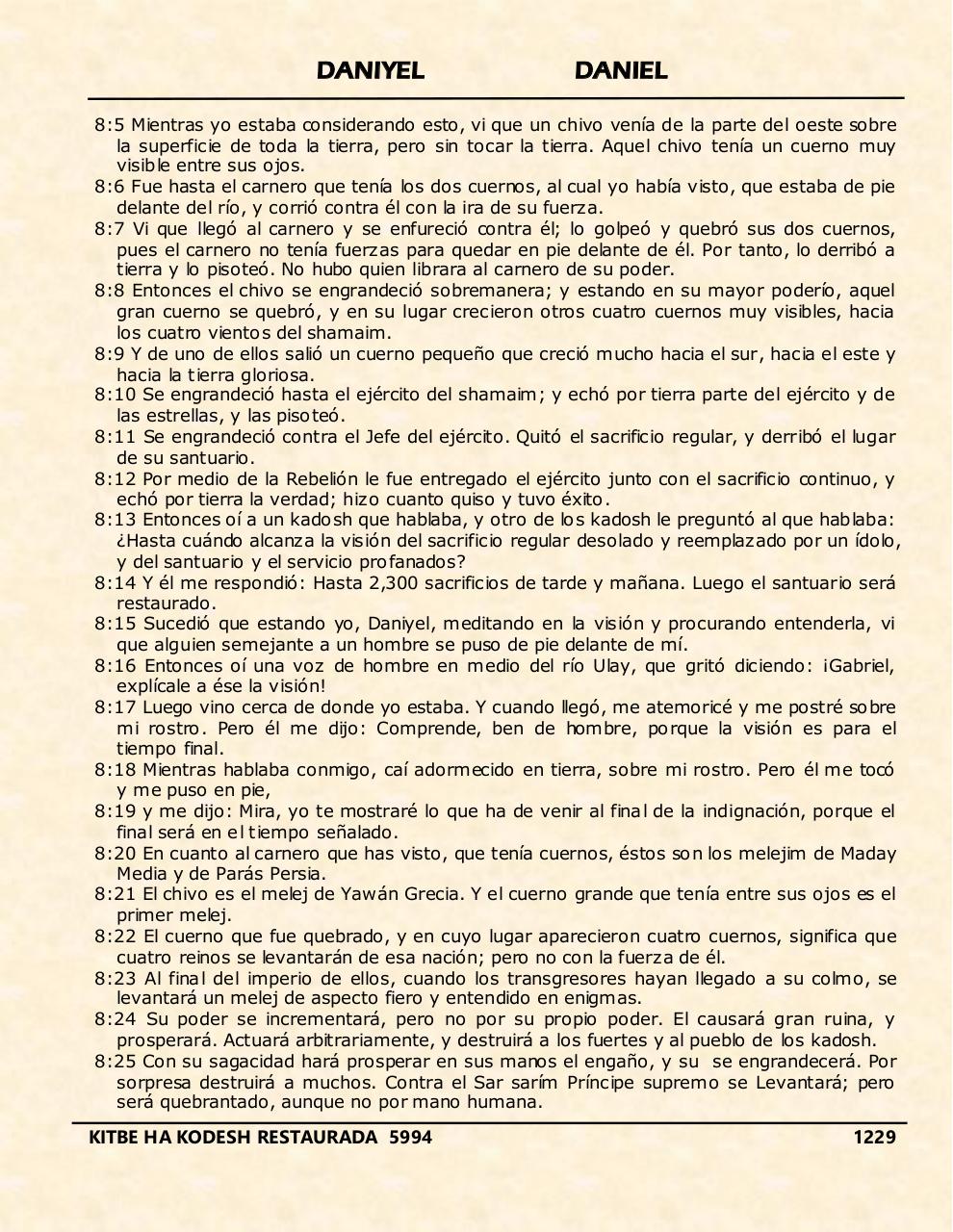 Vista previa del archivo PDF daniyel.pdf
