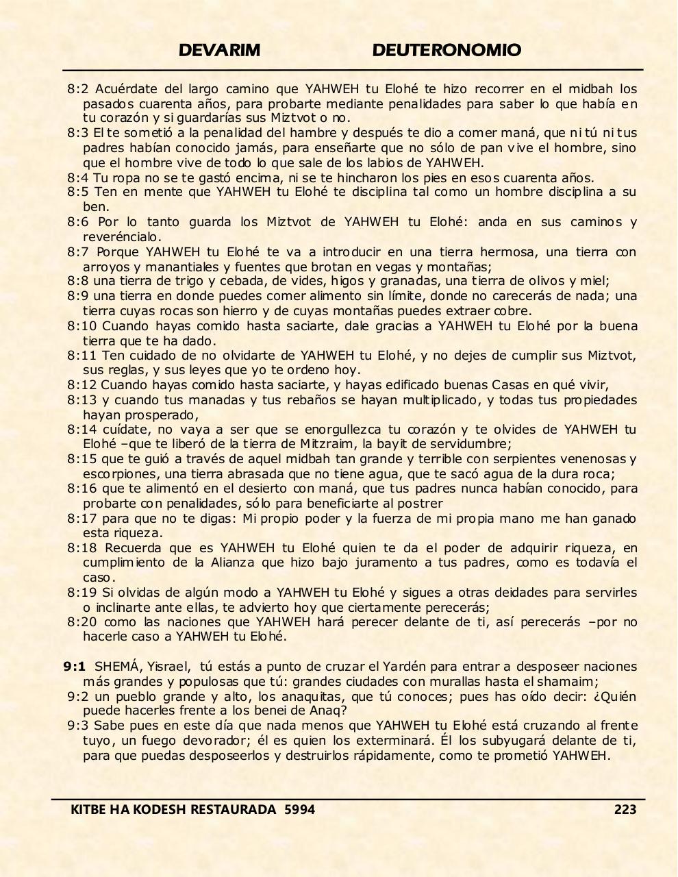 Vista previa del archivo PDF devarim.pdf
