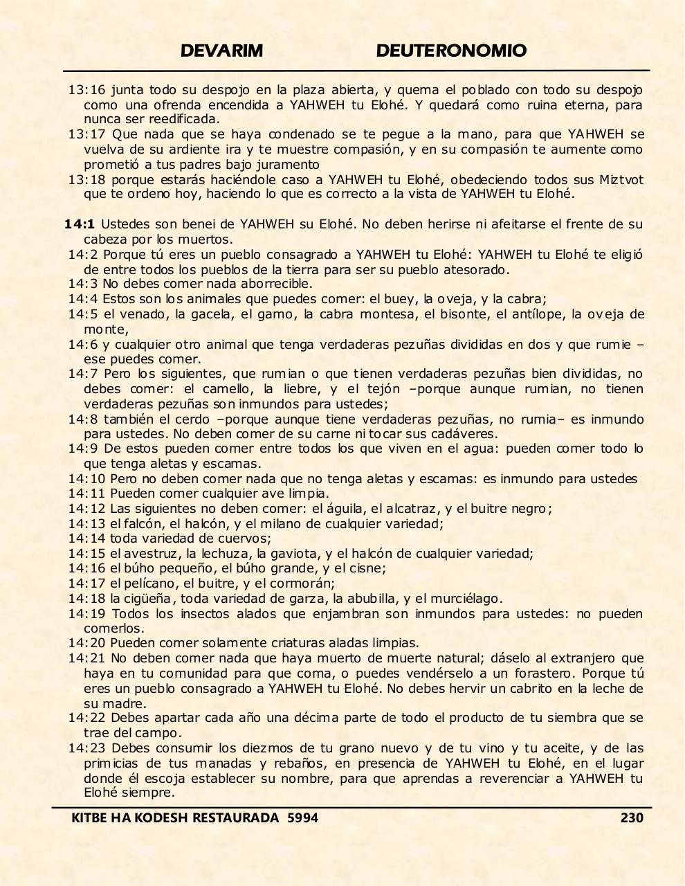 Vista previa del archivo PDF devarim.pdf