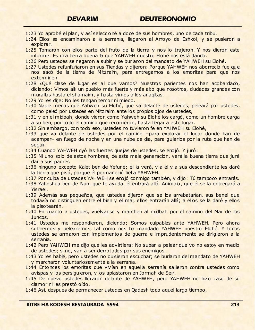 Vista previa del archivo PDF devarim.pdf