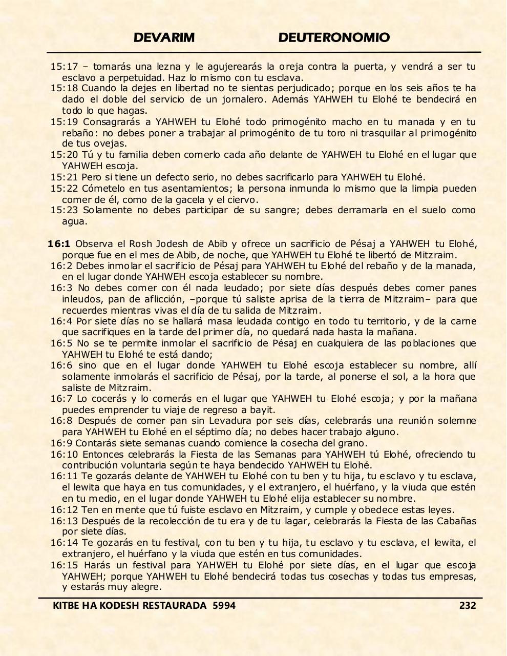 Vista previa del archivo PDF devarim.pdf