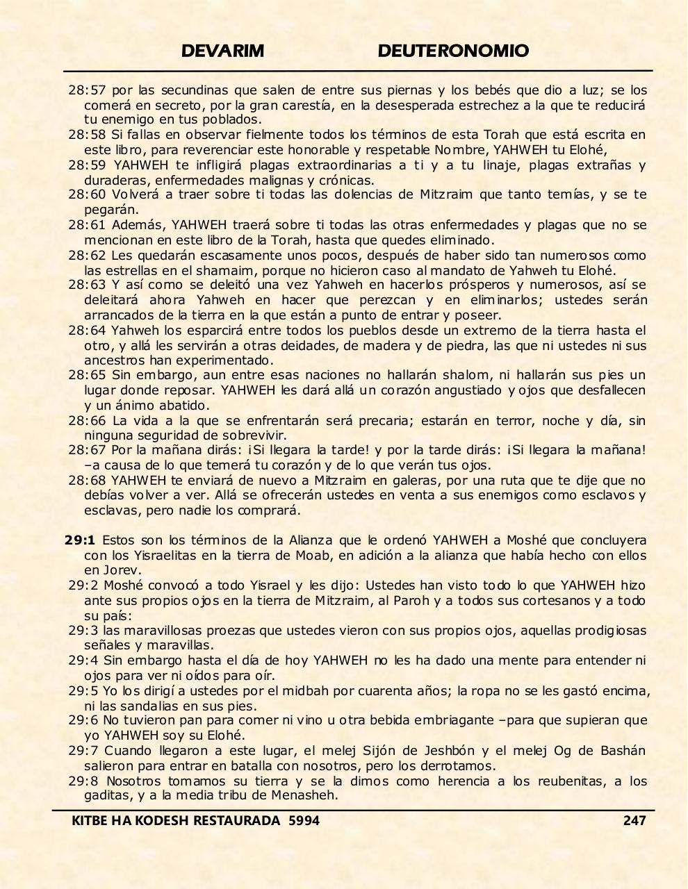 Vista previa del archivo PDF devarim.pdf