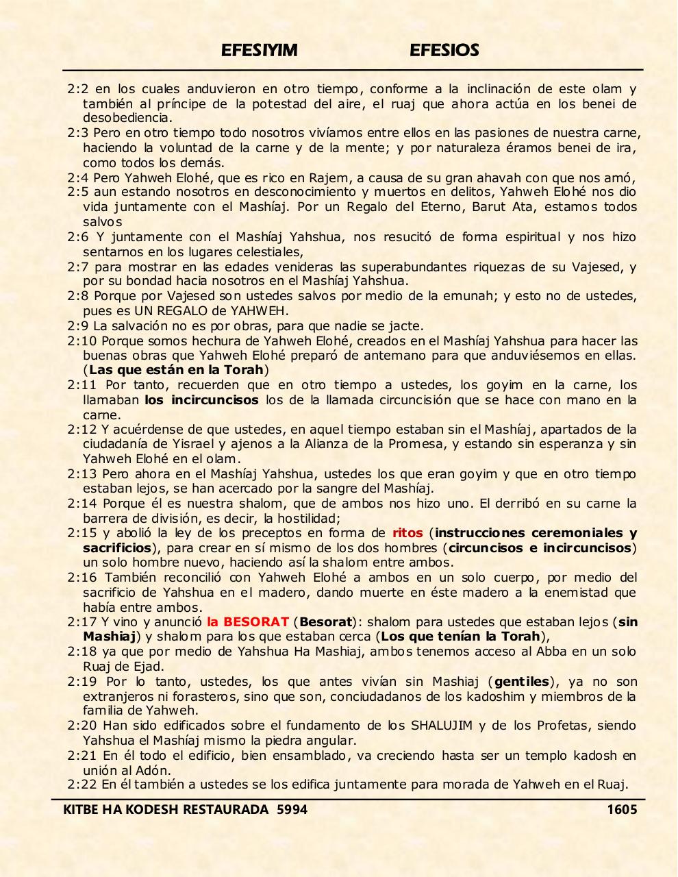 Vista previa del archivo PDF efesiyim.pdf