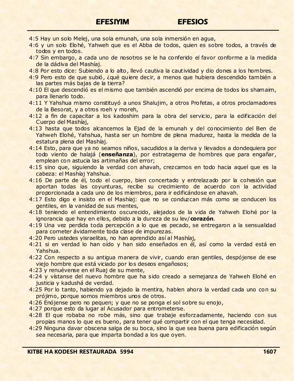 Vista previa del archivo PDF efesiyim.pdf
